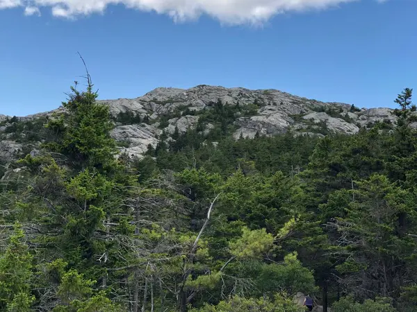 Ein Niedriger Winkel Eines Berges Der Von Grünen Bäumen Bedeckt — Stockfoto