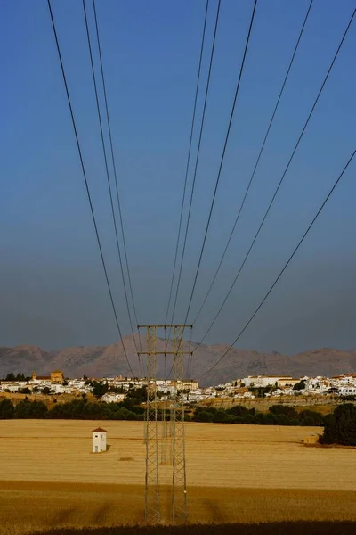 Kablolu Elektrik Kulesi Arka Planda Mısır Gevreği Tarlalı Beyaz Bir — Stok fotoğraf
