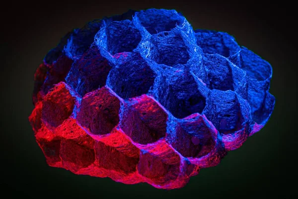 Closeup Gradient Wasp Nest Showing Hexagonal Structure Isolated Black Background — Stock Photo, Image