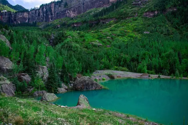 Yeşil Vahşi Doğayla Çevrili Ormandaki Bir Gölün Manzarası — Stok fotoğraf