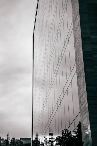 Grayscale Vertical Shot High Modern Urban Building Gray Sky — Stock Photo, Image