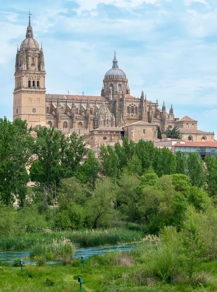 Eine Vertikale Aufnahme Der Majestätischen Kathedrale Von Salamanca Und Des — Stockfoto
