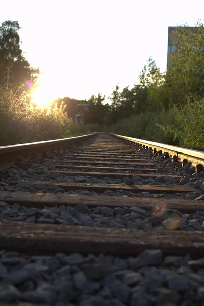田園地帯の空の鉄道の低角度ショットは 背景に輝く夜の太陽と — ストック写真