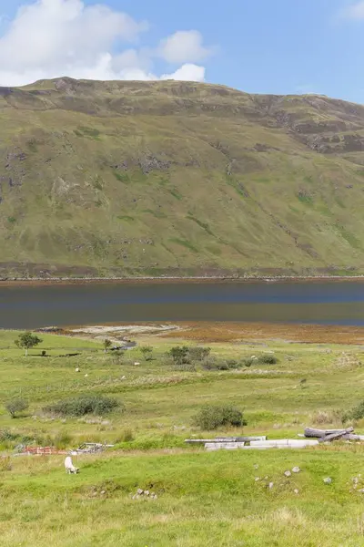 Vertical Shot Landscape Mountain Field Shallow Lagoon Isle Skye Scotland —  Fotos de Stock