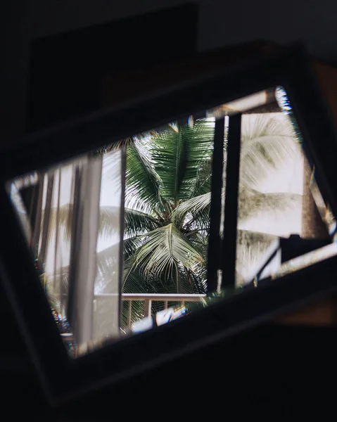 Фотография Эстетического Вида Пальмами Балкона Гаджете — стоковое фото
