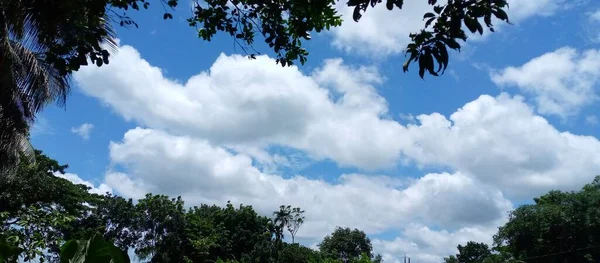 Nubes Blancas Cielo Azul Tranquilo Rodeado Ramas Árboles — Foto de Stock