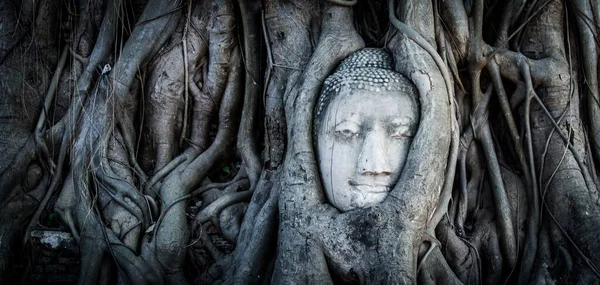在历史名城Ayutthaya的一个古老的浮雕它是泰国暹罗王国的首都 — 图库照片