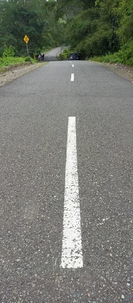 Vertical Closeup Shot Asphalt Highway Road Marking Lines Green Nature — Stock Photo, Image