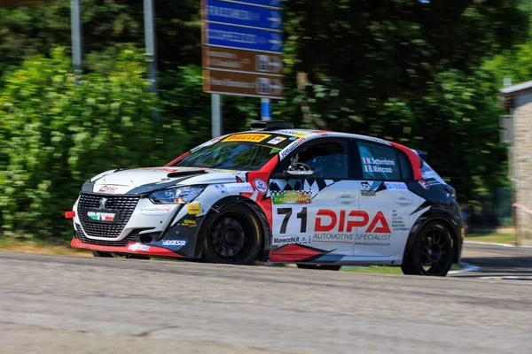 Carro Branco Rally Rally Internazionale Casentino Uma Estrada Com Árvores — Fotografia de Stock