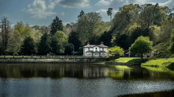 緑に囲まれた湖畔の大きな家 — ストック写真