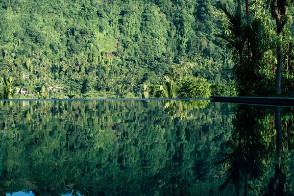 Vacker Utsikt Skog Gröna Träd Och Växter Som Reflekterar Sjön — Stockfoto