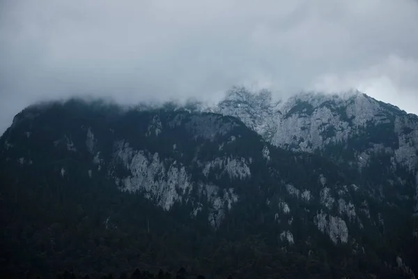 Krásná Krajina Zelených Lesů Horách — Stock fotografie