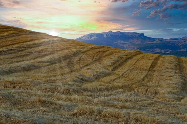 Paisaje Campo Rastrojos Con Montañas Fondo Amanecer Cielo Nublado Colorido —  Fotos de Stock