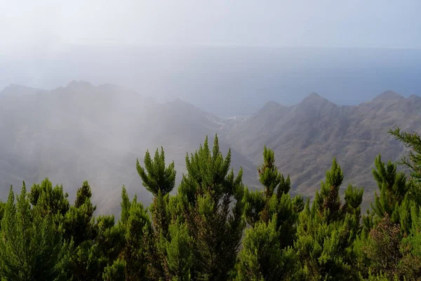 Aerial View Green Plants Senderos Los Sentidos Mountains Tenerife Canary — Stock Photo, Image