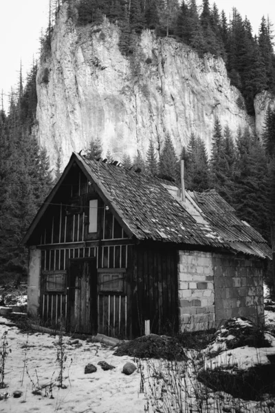 Grayscale Old Rural House Rock Covered Fir Trees — Stock Photo, Image