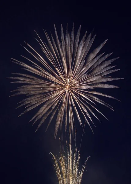 Vertical Shot Golden Fireworks Bursting Night Sky — Stock Photo, Image