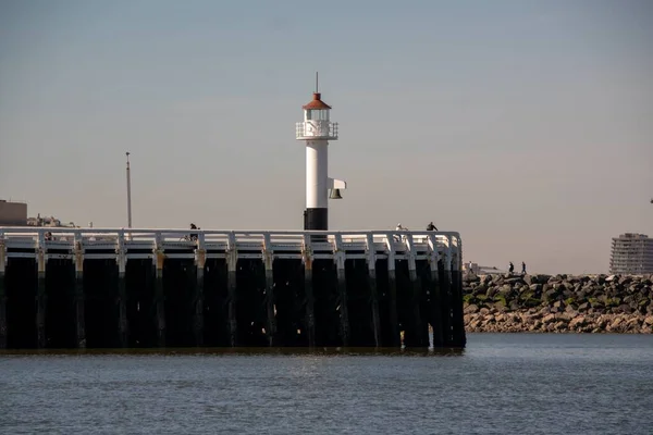 Lighthouse Port Ostend Blue Sky — Stock Photo, Image