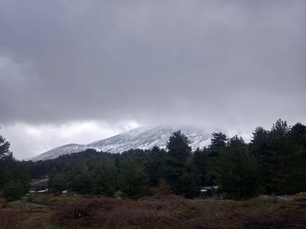 Piękny Widok Wiecznie Zielonych Drzew Śnieżnymi Górami Tle Pod Zachmurzonym — Zdjęcie stockowe