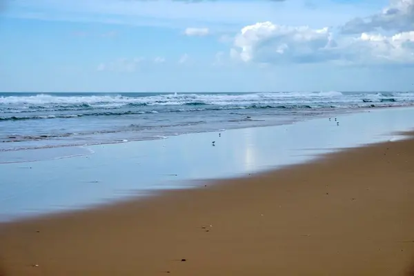 Paisaje Marino Con Una Playa Arena Marrón Bajo Cielo Azul — Foto de Stock