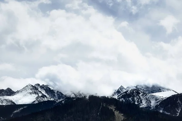 Een Prachtig Uitzicht Het Tatry Gebergte Met Een Hemelse Achtergrond — Stockfoto