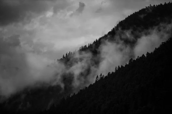 Grayscale Mountains Covered Forests Cloudy Day — Stock Photo, Image