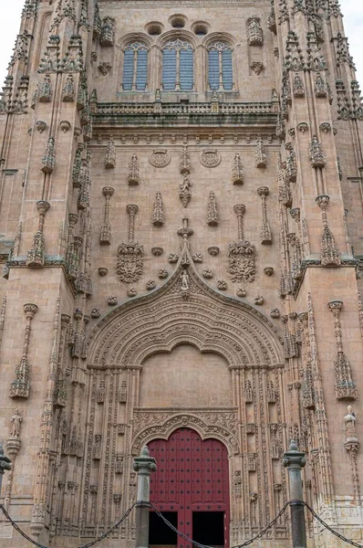 Spanya Salamanca Daki Yüzyıl Gotik Katedralinin Güney Girişinin Dikey Görüntüsü — Stok fotoğraf
