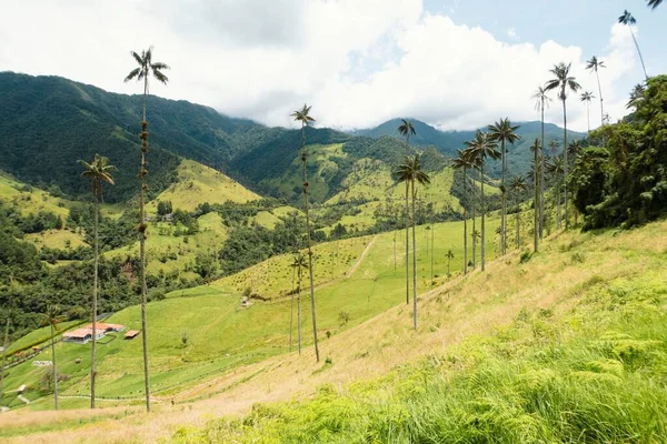 Una Hermosa Vista Del Valle Del Cocora Colombia Bajo Cielo — Foto de Stock