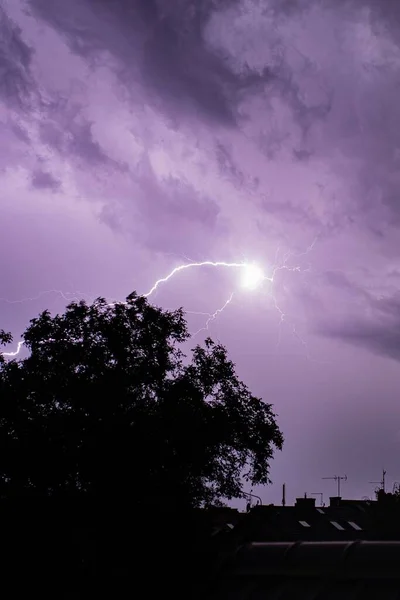 Huge Lightning Night Sky Silhouettes Trees — Stock Photo, Image