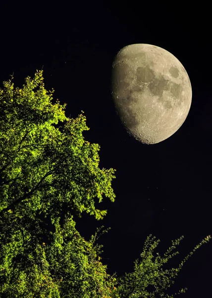 Ein Wachsender Gibbous Mond Einem Sternenklaren Nachthimmel Mit Einem Grünen — Stockfoto