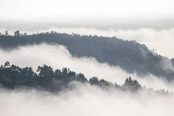 Paisaje Colinas Boscosas Detrás Niebla Bajo Cielo Nublado Gris —  Fotos de Stock