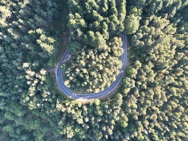 Une Vue Dessus Une Belle Forêt Par Une Journée Été — Photo