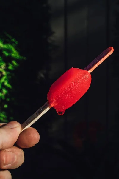 Hand Holding Red Half Eaten Popsicle Joke Stick — Stock Photo, Image