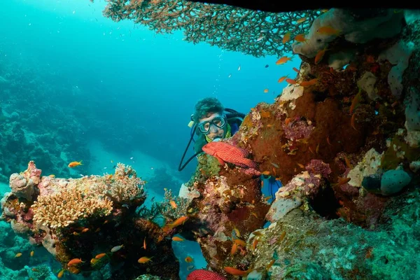 Caucasian Divier Discovering Red Sea Stones Colorful Coral Reefs Mrsa — Stock Photo, Image