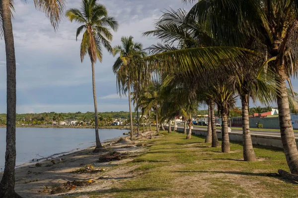 Una Playa Idílica Con Palmeras Matanzas Cuba —  Fotos de Stock