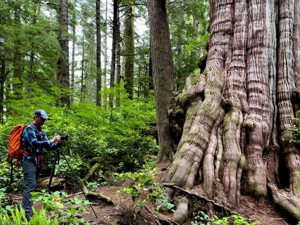 Randonneur Caucasien Installant Caméra Dans Une Verdure Luxuriante Parc Provincial — Photo