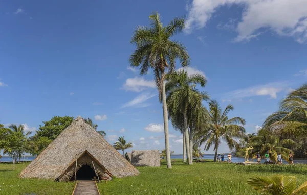 Una Capanna Forma Triangolo Zapata Cuba — Foto Stock