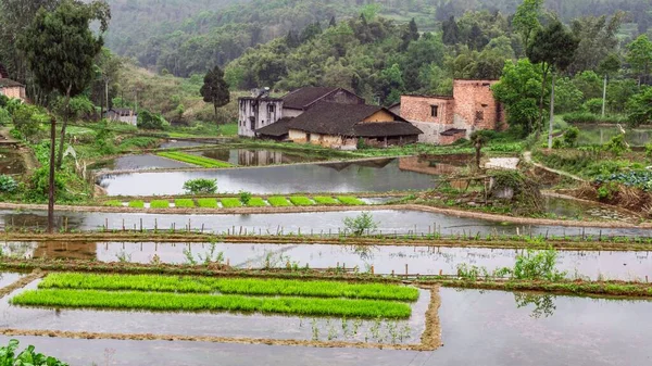 Beau Champ Eau Avec Vieilles Maisons Des Arbres Feuilles Persistantes — Photo