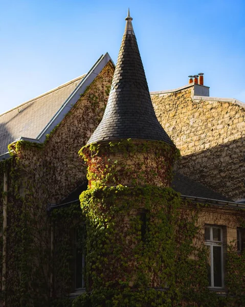 Close Castelo Coberto Por Plantas Localizadas Paris França — Fotografia de Stock