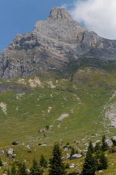 Vertical Shot Majestic Mont Blanc Mountain Rocky Peak Grassy Slope — Stock Photo, Image