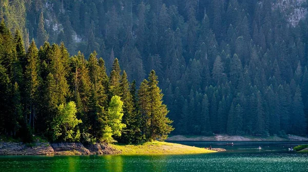 Чудовий Краєвид Чорного Озера Горою Дурмітор Лісом Задньому Плані Чорногорії — стокове фото