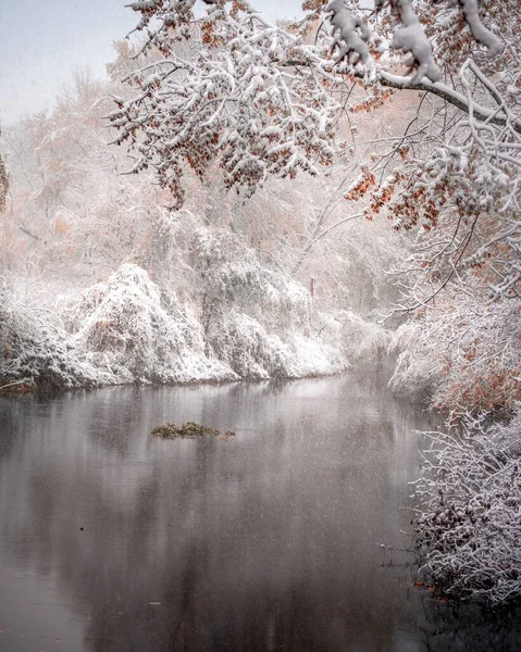 在冬天 一条河流穿过白雪覆盖的森林的垂直拍 — 图库照片