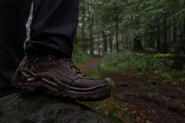 Primer Plano Las Botas Marrones Excursionista Bosque —  Fotos de Stock