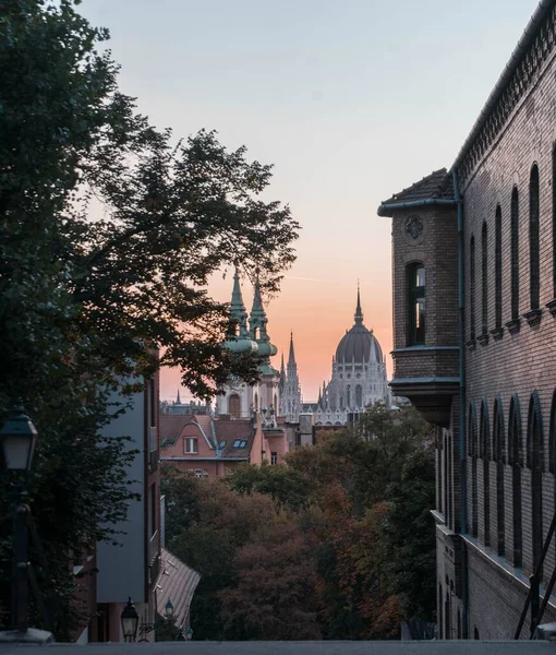 Uma Bela Vista Edifícios Cidade Budapeste Com Árvores Durante Pôr — Fotografia de Stock