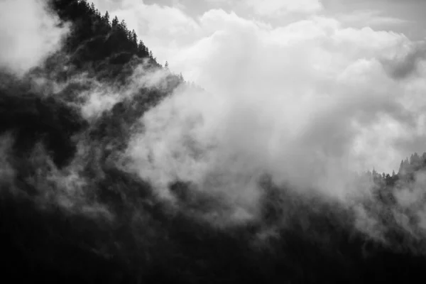 Grayscale Mountains Covered Forests Cloudy Day — Stock Photo, Image