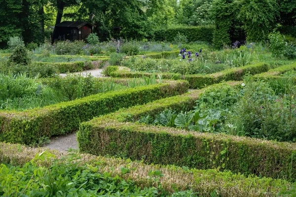 Красивий Зелений Сад Вирізаними Кущами Ящиків Різними Рослинами Квітами — стокове фото