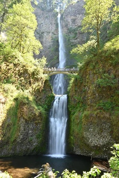 Eine Vertikale Aufnahme Eines Wasserfalls Und Einer Brücke Wald — Stockfoto