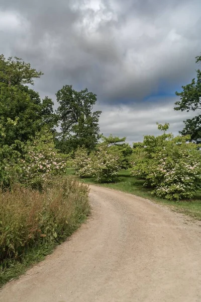 Staffordshire Lakeside Woodland Path Sunny Day Stoke Trent — Stock Photo, Image