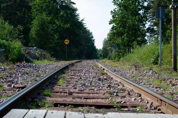 Tor Kolejowy Przebiegający Przez Gęsty Las — Zdjęcie stockowe