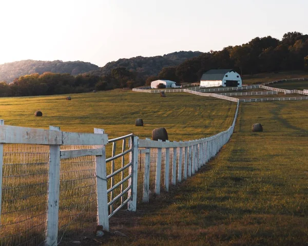 米国テネシー州の森の白い柵の閉鎖ショット — ストック写真