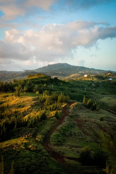 Eine Vertikale Aufnahme Einer Faszinierend Grünen Landschaft Mit Einem Schmalen — Stockfoto